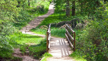 Wandelcoach: wandelcoaching, walk talk, Wandeltherapeut: negatieve gevoelens, ontspannen, oefeningen natuur, acceptatie, natuurtherapie, wandeling stadspark, omgeving natuurdomein 